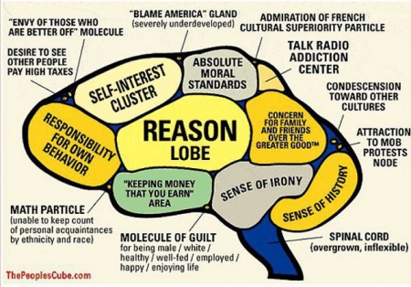 The American Brain