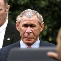 Bush as a Chimp