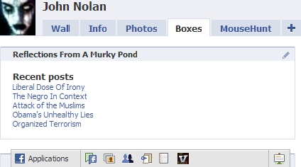 Reflections From A Murky Pond - Facebook Application Box / Widget screenshot