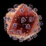3D Model of HIV Virus