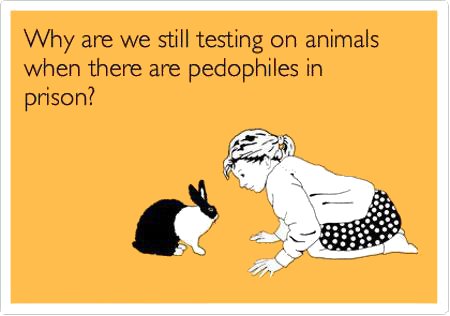 Why Are We Still Testing On Animals?