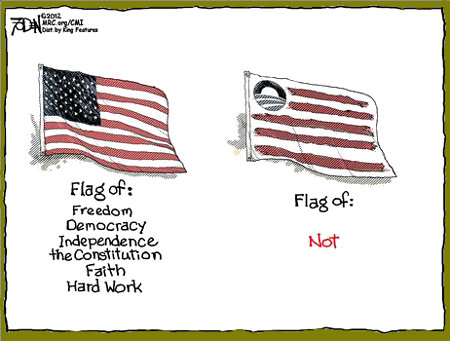 Flags - American vs. Obama