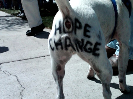 This dog knows all about Hope and Change