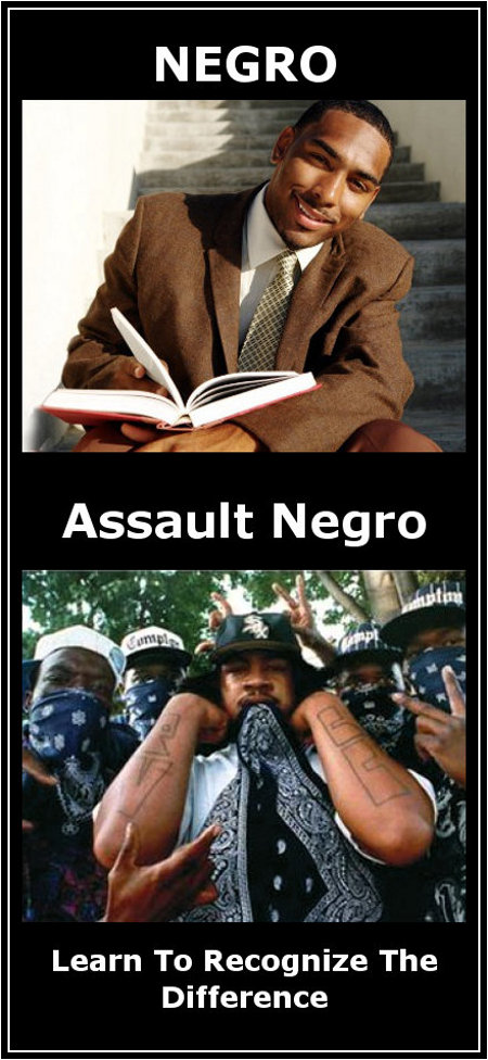 Negro v. Assault Negro