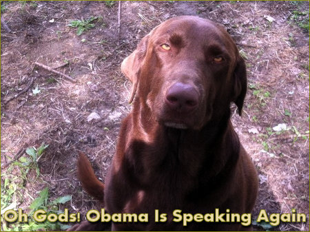 Labrador on Obama
