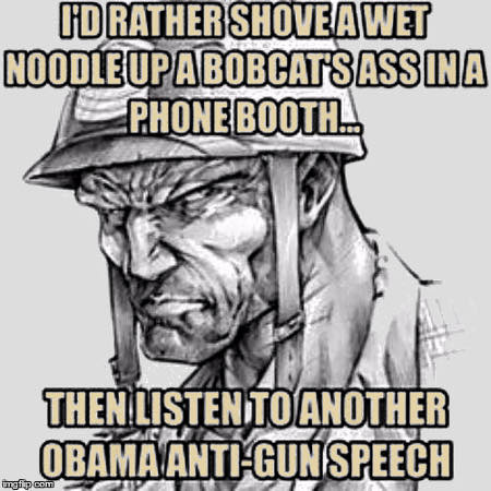 Obama Gun Speech