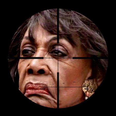 Maxine Waters - Findot