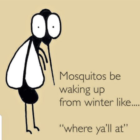 On The Bright Side, Mosquitoes Are Screwed