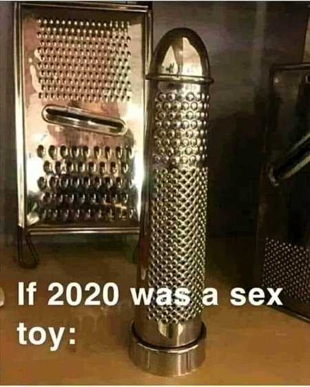 If 2020 Was A Sex Toy
