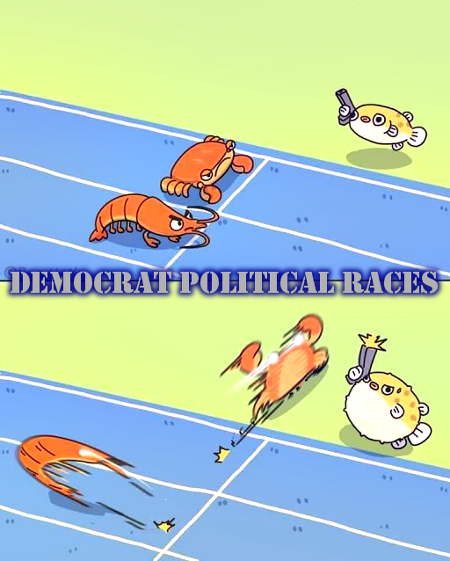 Democrat Political Races
