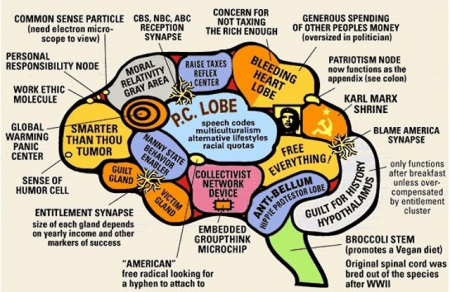 The Liberal Brain