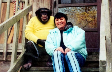 Pri-Mates - The Happy Couple: Bizarre Love of Gal and Ape