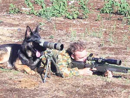 Dog Spotter - Man's Best Friend