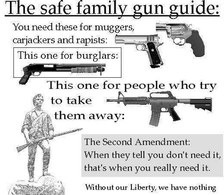 Firearm Guide For American Families