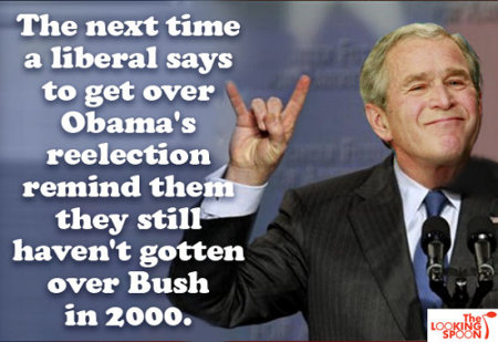 Get Over Obama's Reelection?