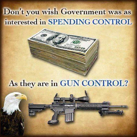 Don't You Wish The Government Was As Interested In Spending Control As They Are In Gun Control?