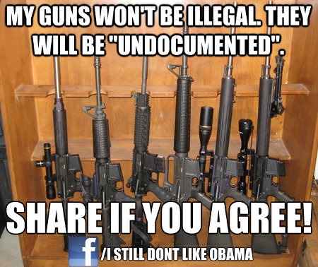 My Guns Are Undocumented