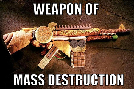 WMD Food Gun
