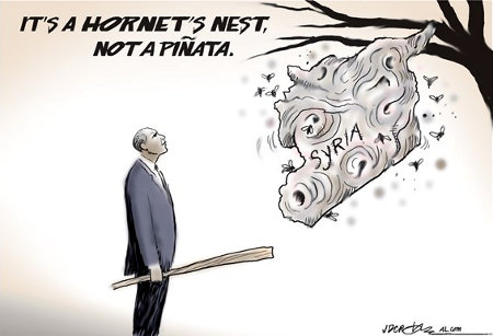 It's a Hornets' Nest, Boy, Not a Pinata