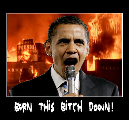 Obama:  Burn This Bitch Down!