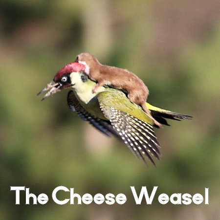"The Cheese Weasel is a clever and cunning rodent, bent on quiet world domination.