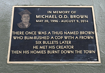 There once was a thug named Brown Who bum-rushed a cop with a frown Six bullets later He met his creator Then his homies burnt down the town