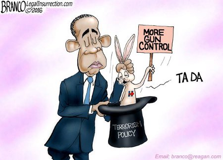 Obama pulls more gun control out of a hat