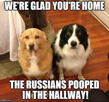 The Russians Did It
