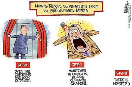 MSM Weather Reporting