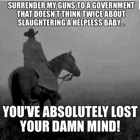 Surrender My Guns? Not while one single Democrat or Likely Democrat still lives and walks free