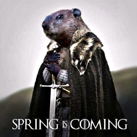 Spring Is Coming