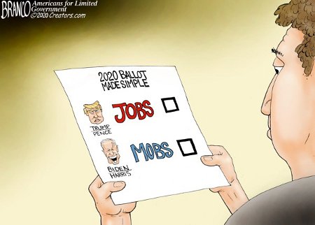 2020 Ballot Sample - Jobs (R) or Mobs (D)