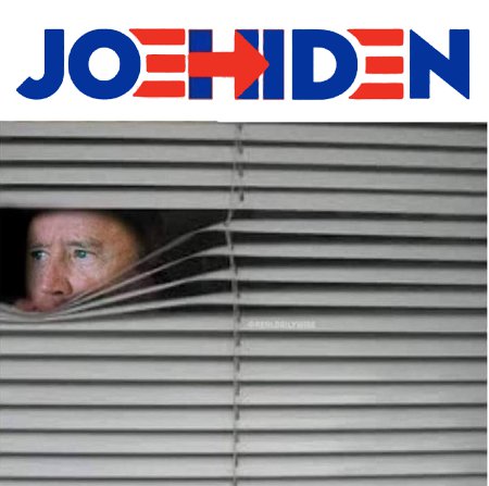 Joe Hiden - The Basement Candidate