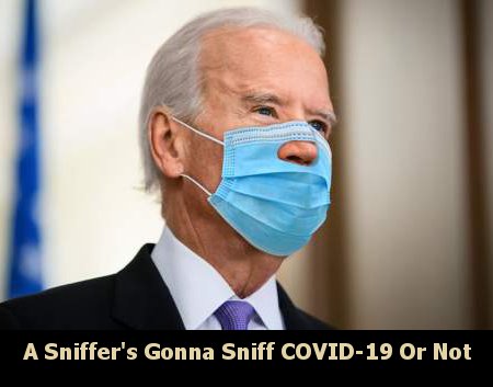 Biden's Gotta Sniff