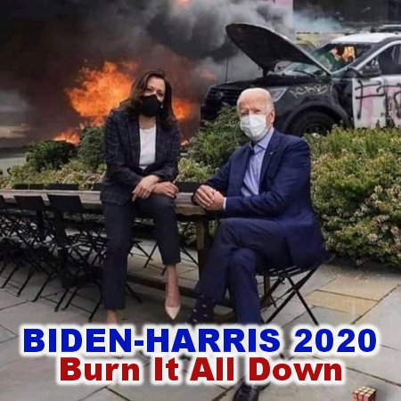 Biden-Harris 2020
Burn It Down!