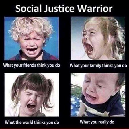 The Social Justice Warrior