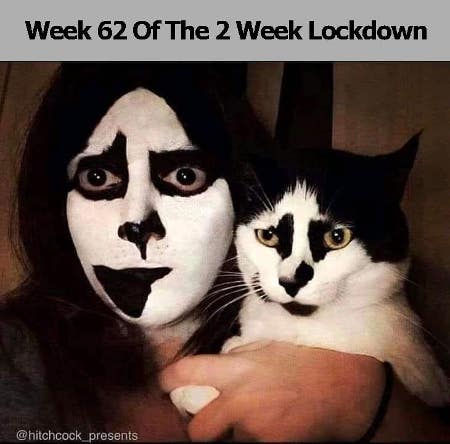 Week 62 Of The 2 Week Lock-down & Everything Is Just "Fine"