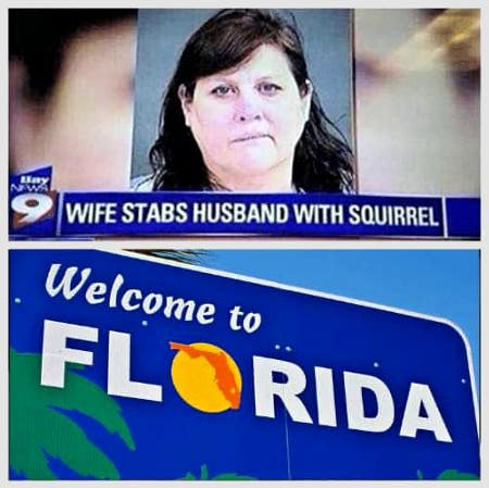 Welcome To Florida