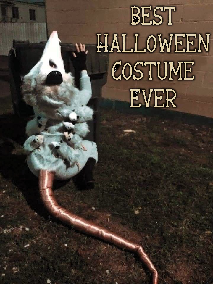 The Best Halloween Costume Ever