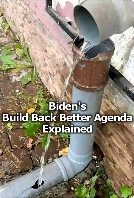 Biden's Build Back Better Explained
