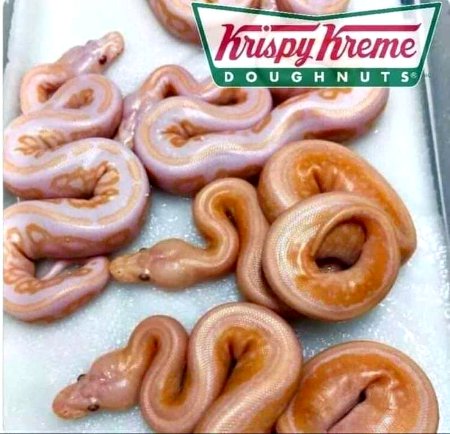 Krispy Kreme's New Doughnut Balls Look Awesome