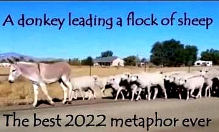 Leading The Flock In 2022
