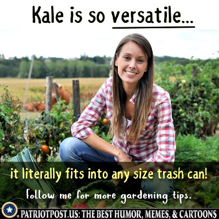 Kale Is So Versatile