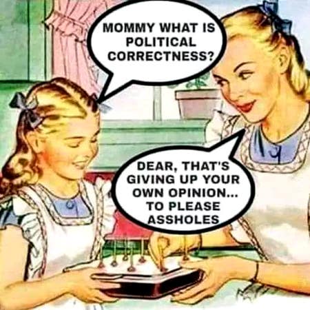 What's Political Correctness?