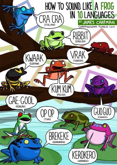Frogs Of The World & Their Calls