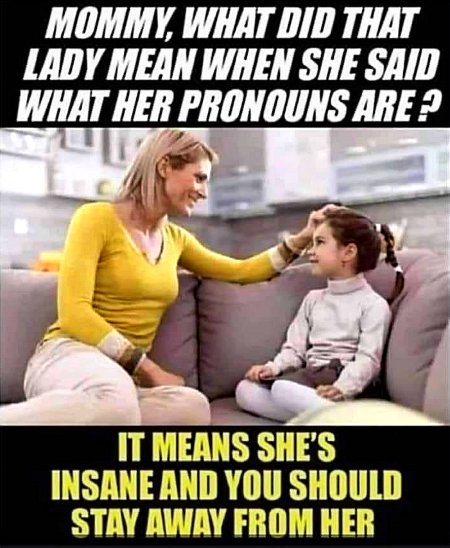 What Their Pronouns Mean