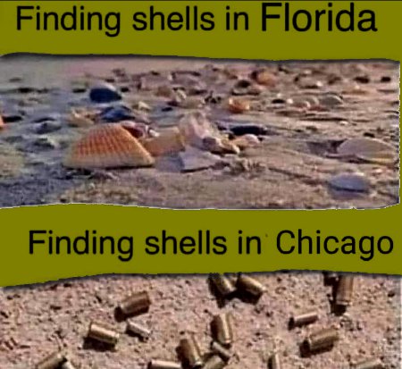 Finding Shells