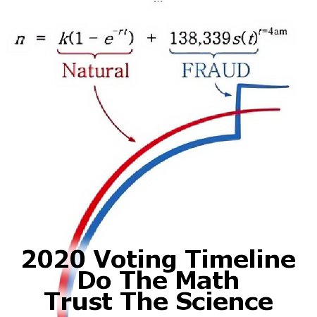 2020 Election Math