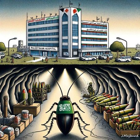 Gazan Hospitals