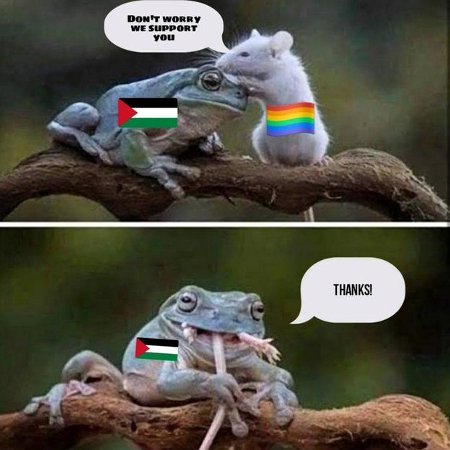Faggots For Hamas